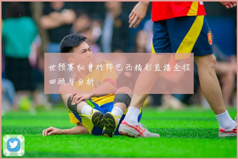 世预赛秘鲁对阵巴西精彩直播全程回顾与分析